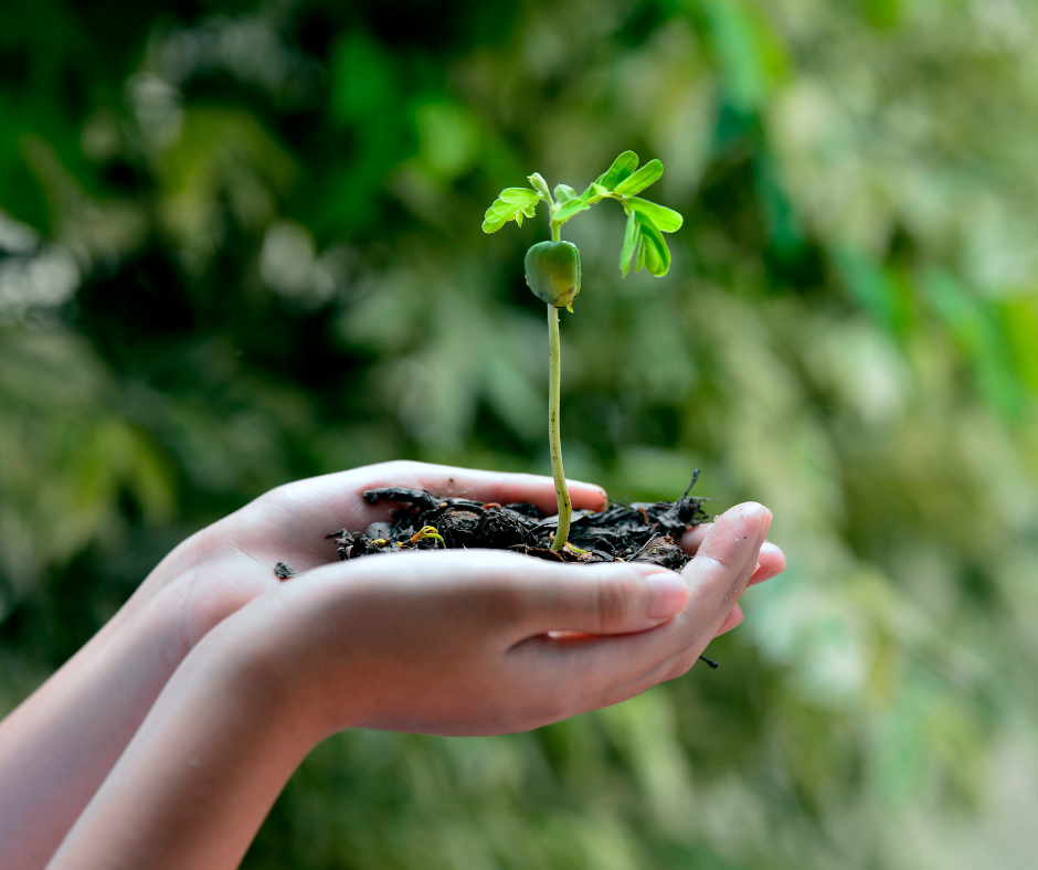 L’Afpa présente au ML’GREEN IMPACT à Miramas : L’événement pro de la transition écologique !